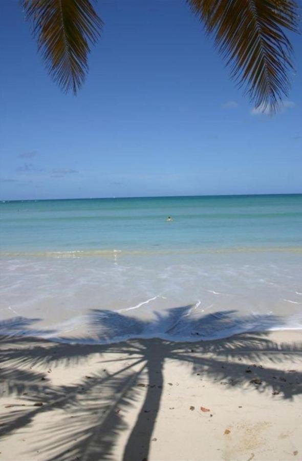 T2 Les Pieds Dans L'Eau Face A La Mer Des Caraibes Sainte Luce - Trois Rivieres Exterior foto